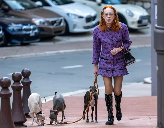 Ekaterina Barrett walking three Italian greyhounds in Monaco